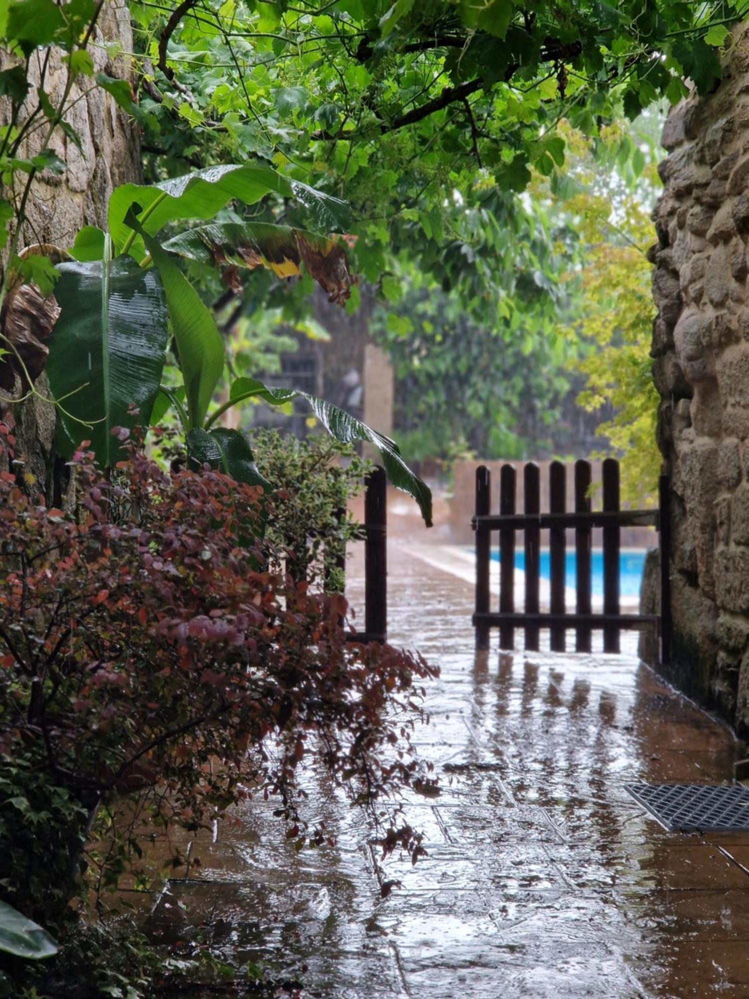 Villa Casa Cristimil -San Amaro Salamonde Exterior foto